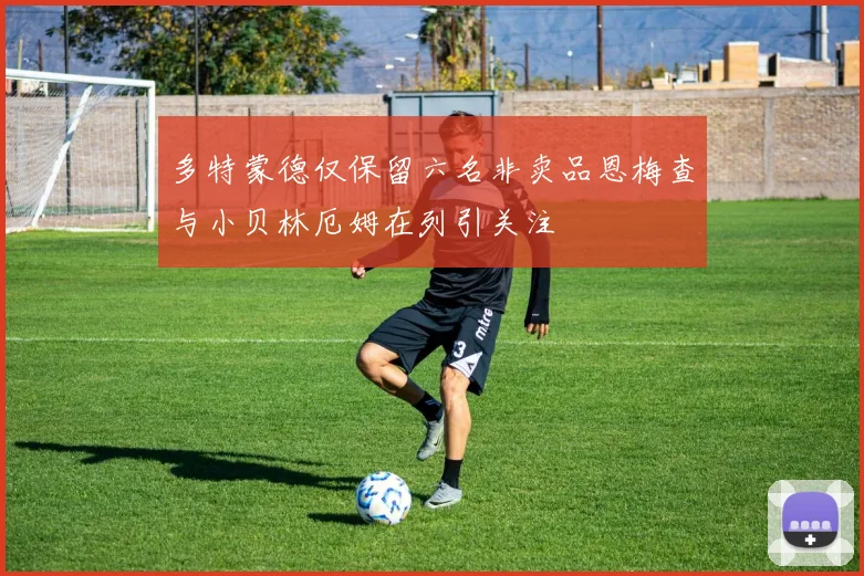 多特蒙德仅保留六名非卖品恩梅查与小贝林厄姆在列引关注